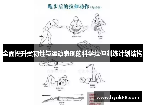 全面提升柔韧性与运动表现的科学拉伸训练计划结构